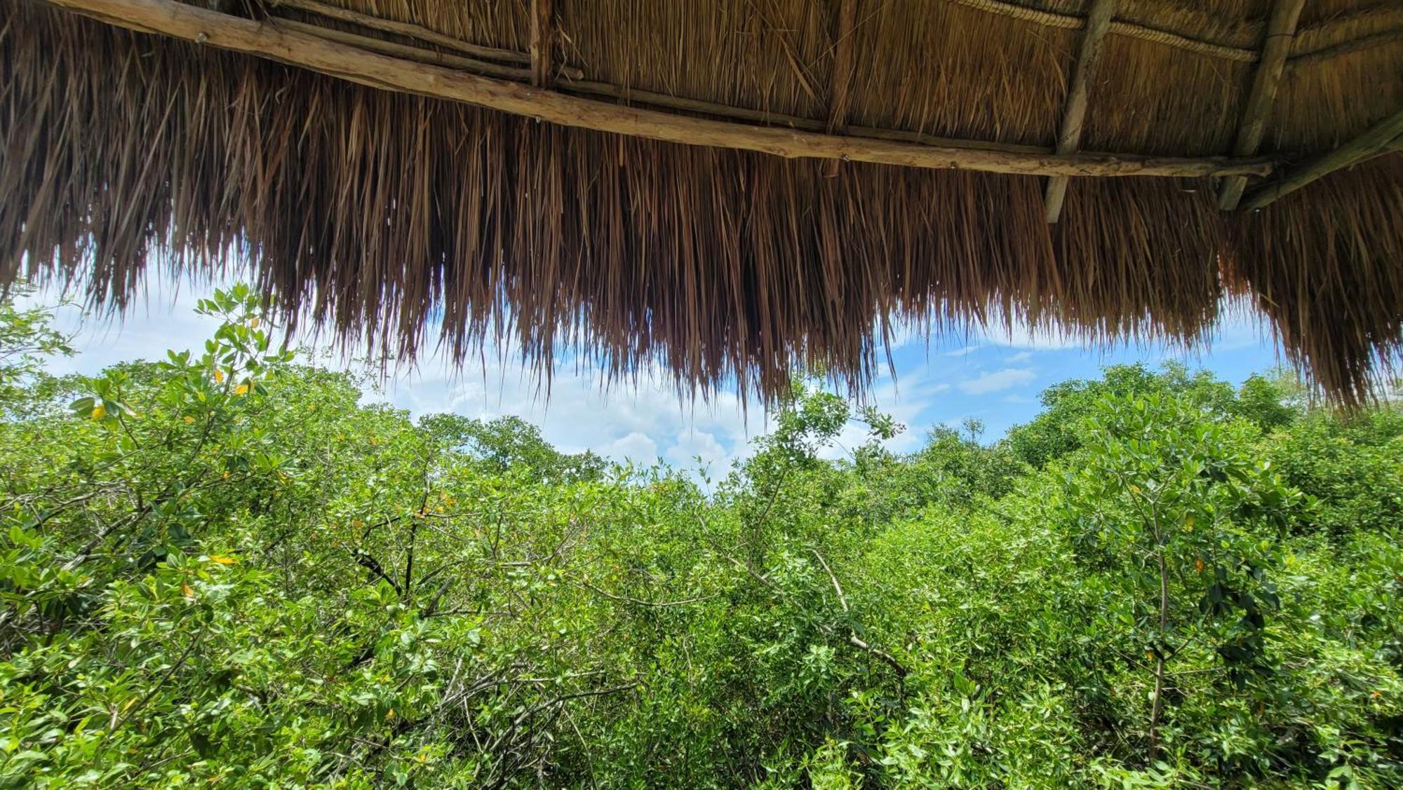 Hotel Cormoran Tulum & Cenote Exteriör bild
